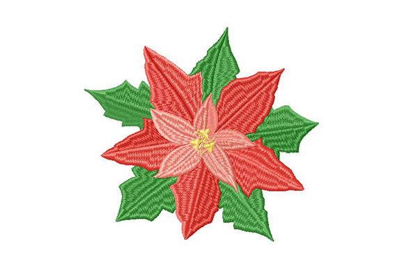 Poinsettia Christmas Star for Single Flowers Amp